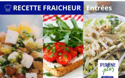 GROSSES CHALEURS : recettes d’entrées rafraichissantes