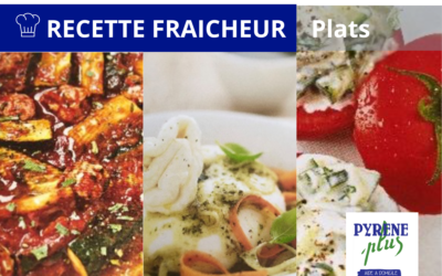 GROSSES CHALEURS : recettes de plats rafraichissants