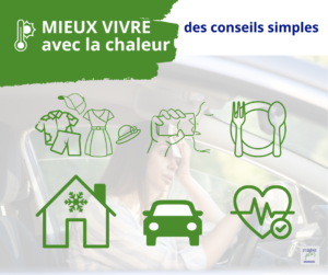 Des conseils simples pour mieux vivre lors des vagues de chaleur